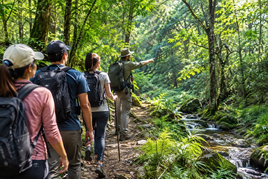 Nature Walks and Guided Forest Experiences 2026: Explore Wildlife, Trails and Biodiversity 